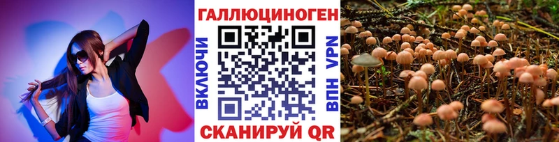 Купить закладки  Гагарин  Галлюциногенные грибы MAGIC MUSHROOMS 